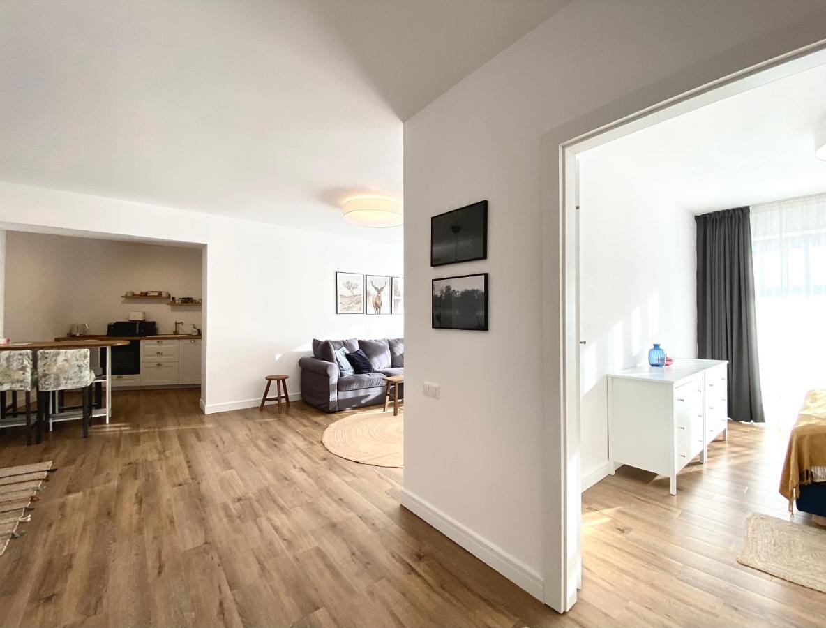 Cosy Hollow - Pet Friendly Brașov Exterior foto